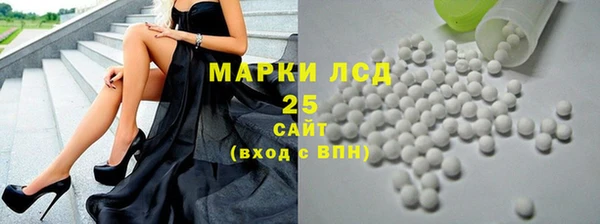 прущие грибы Алзамай