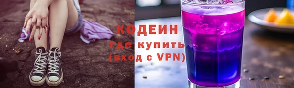 прущие грибы Алзамай