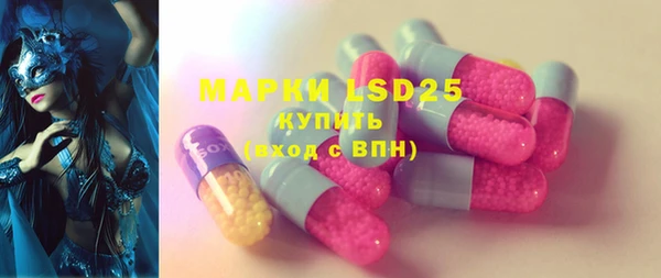 прущие грибы Алзамай