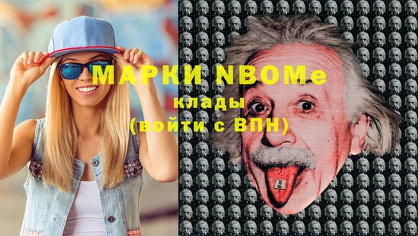 прущие грибы Алзамай