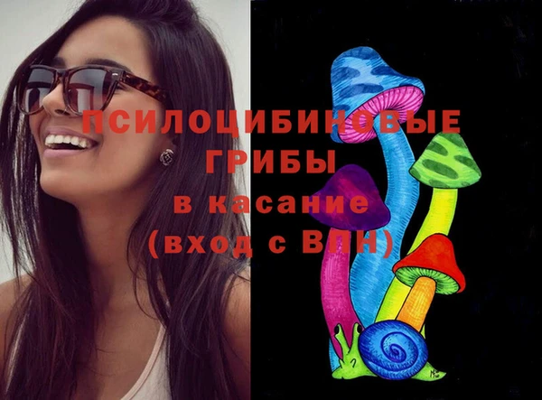 дурь Алексеевка