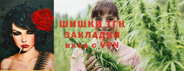 твердый Алексин