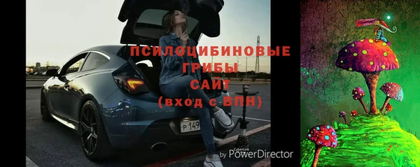 дурь Алексеевка
