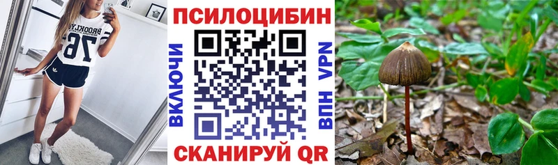 Галлюциногенные грибы прущие грибы Сольвычегодск