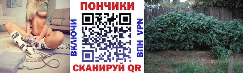 Канабис White Widow Сольвычегодск